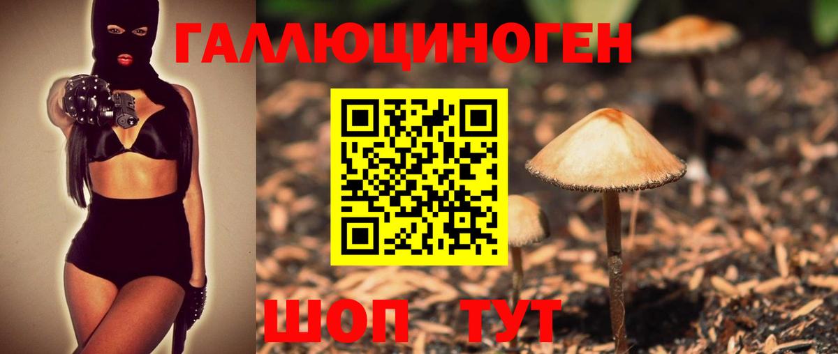 как найти закладки  Псилоцибиновые грибы Psilocybe  Вход с VPN  Оренбург 